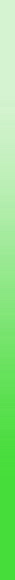 linie